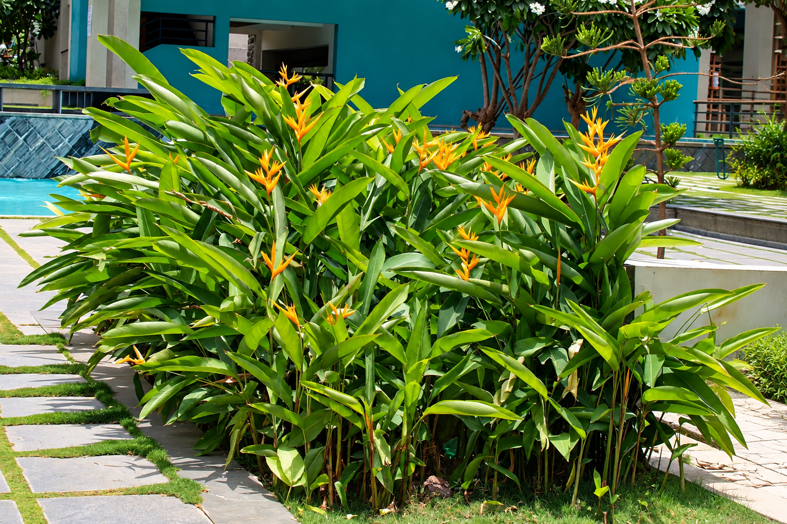 Mahindra Woods, Pune